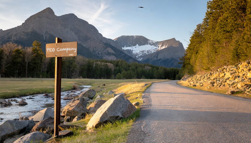 A road through the mountains symbolizing the rough path for selecting a PEO.
